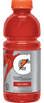 Gatorade 20oz Fruit Punch (24)