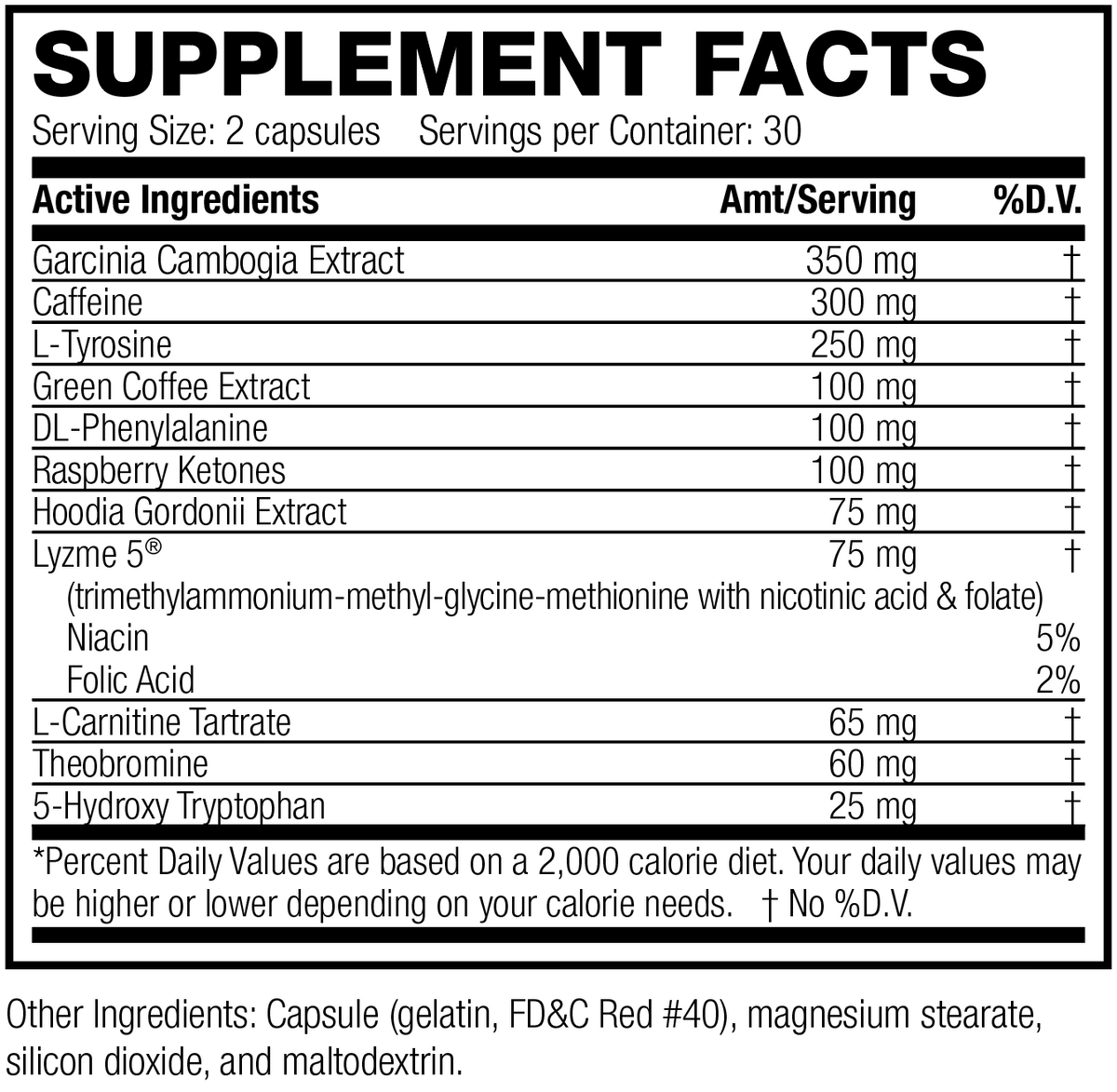 N2G Thermo Plus - CASE OF 12 – N2G Store